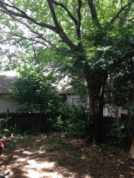 Beautiful Back yard for BBQ! - 746 Europe St