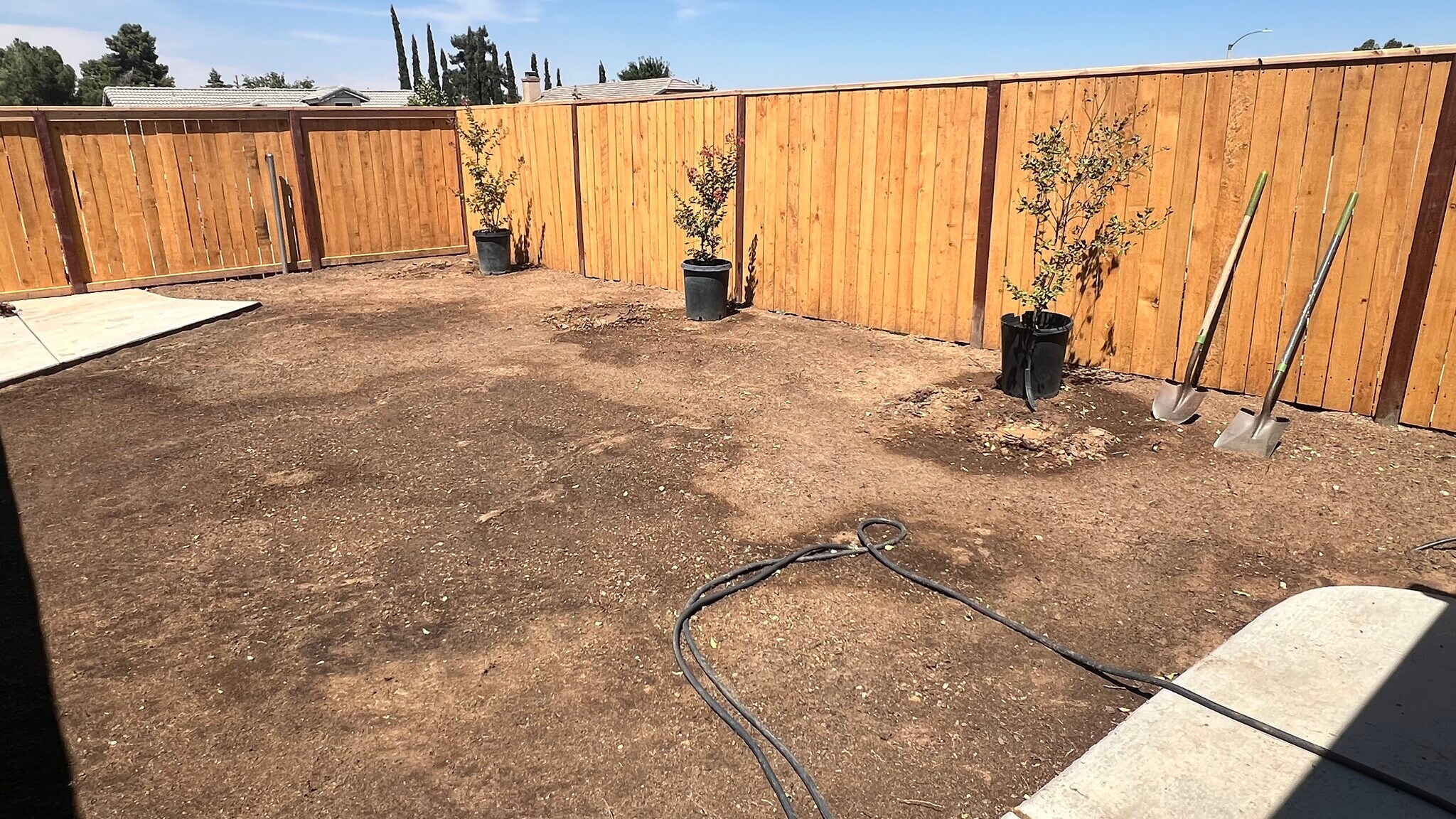 Backyard - 9083 Powell Ave