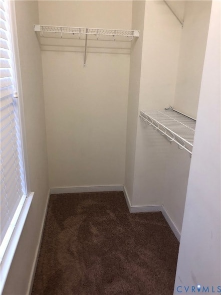 Building Photo - 4073 Trisha Trail