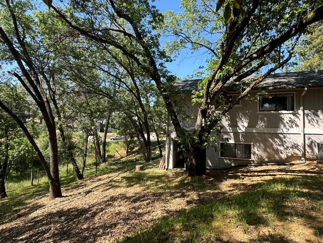 Building Photo - 3 Bedroom 2 Bath Home with Bonus Room larg...