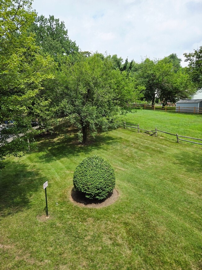 Building Photo - 8729 Hayshed Ln