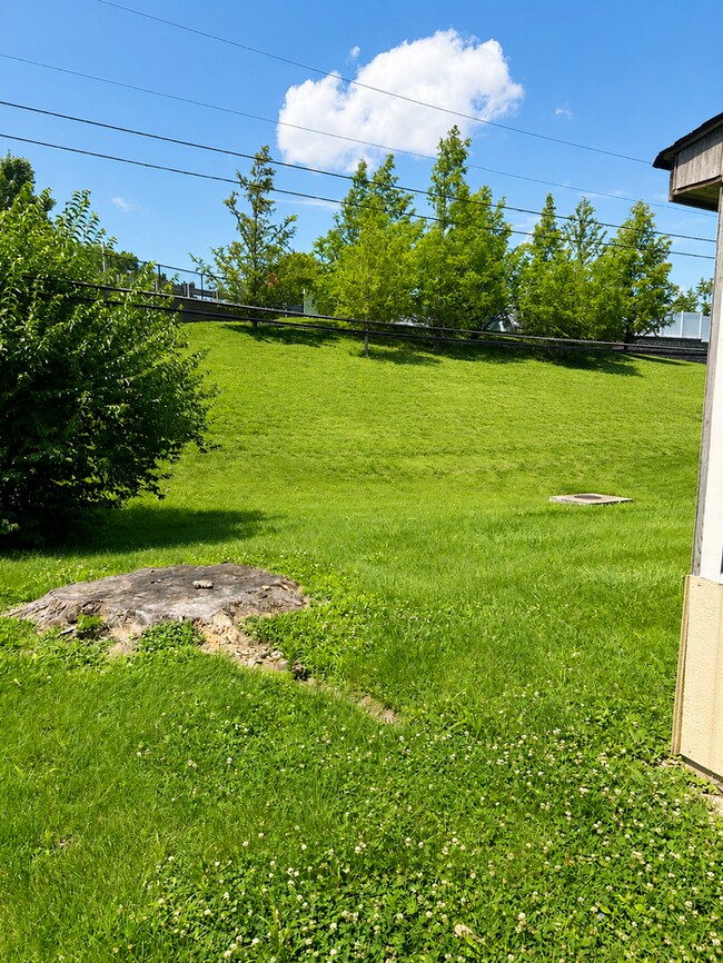 Building Photo - 10933 Brookings Dr