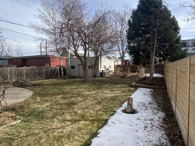 backyard - 4470 Zenobia St