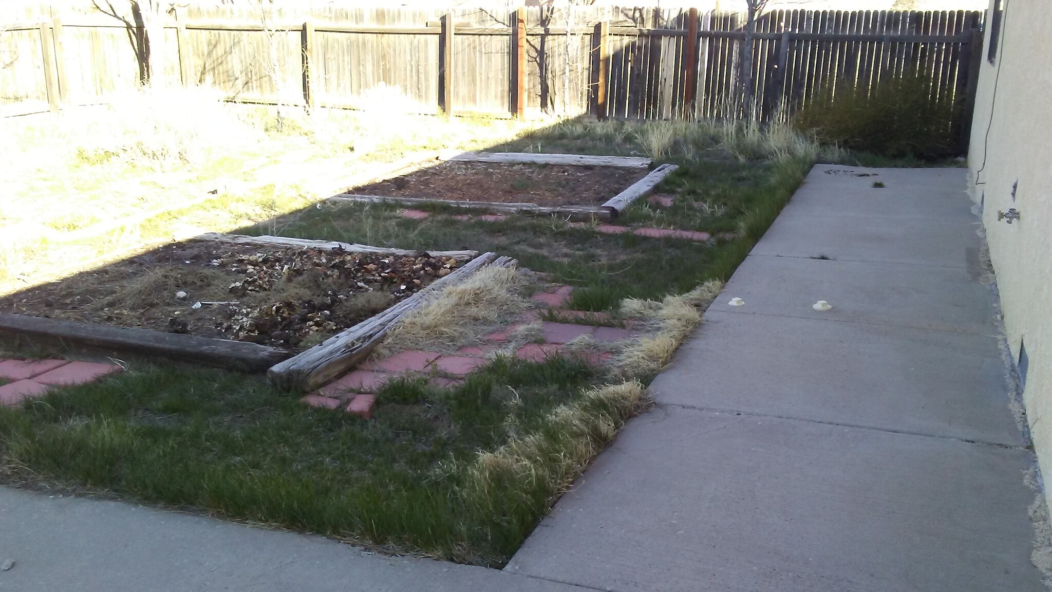 back yard - 706 S Fourth St