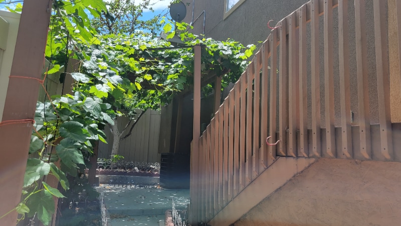 Building Photo - 807 Whisper Cove Rd