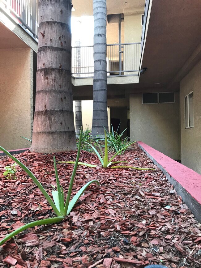 Building Photo - 5650 York Blvd