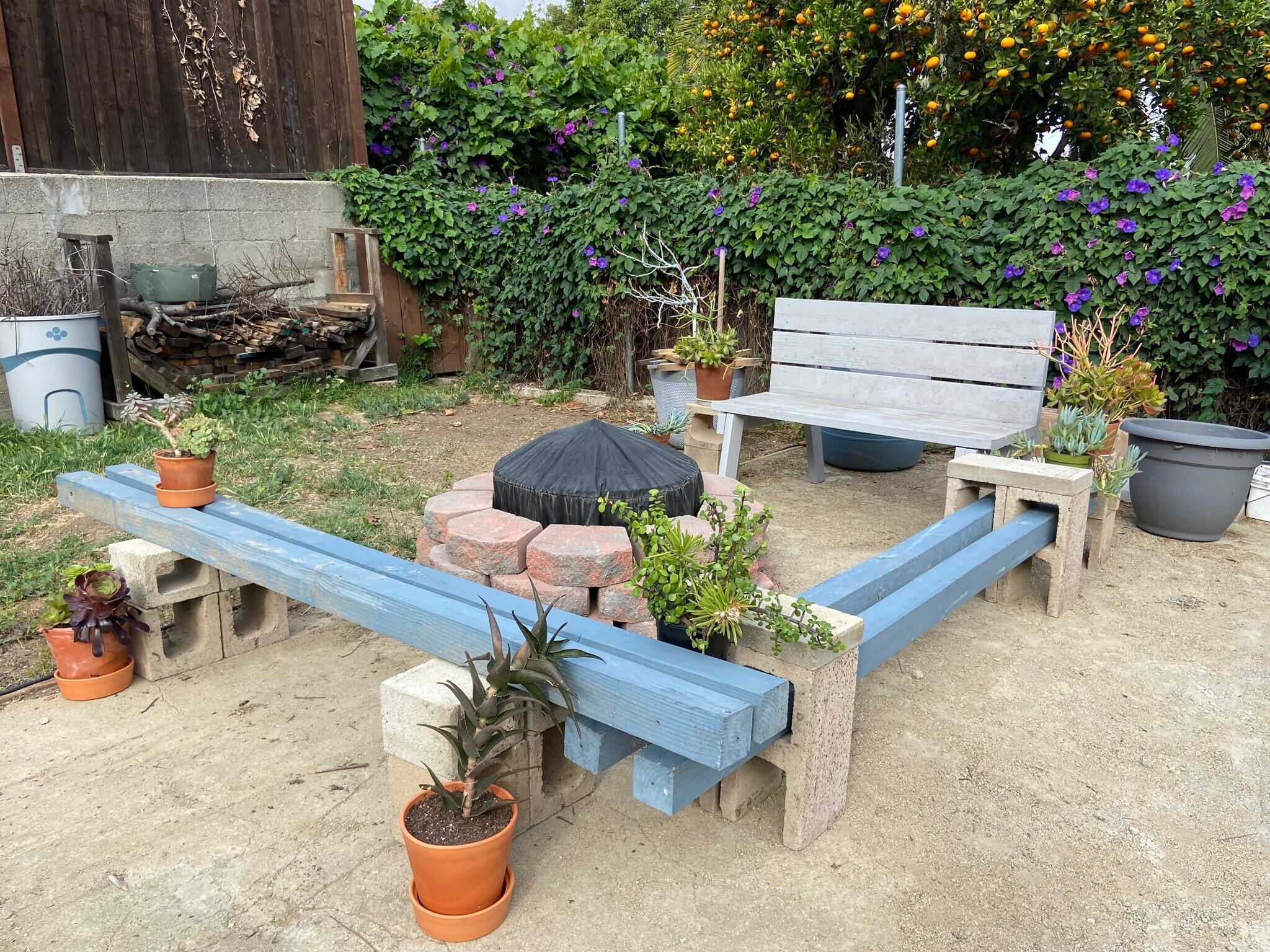 Building Photo - 1043 Sanborn Ave