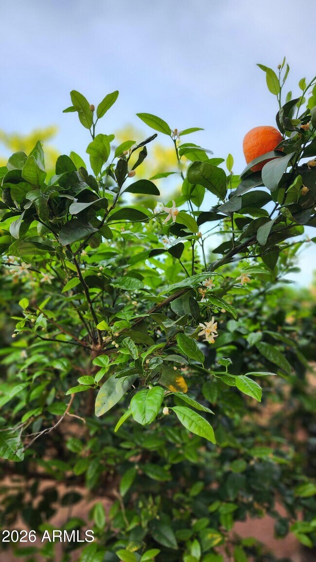 Building Photo - 18970 N Alicante St