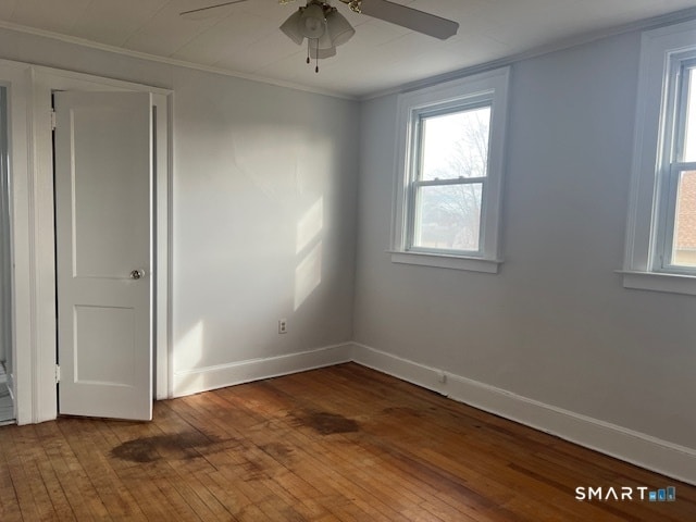 Building Photo - 195 Helen St