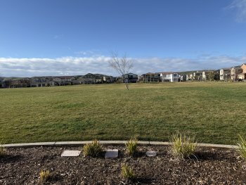 Building Photo - Beautiful 4 Bedroom, 3 Bath Home with Solar in Highly Desired Tracy Hills Community