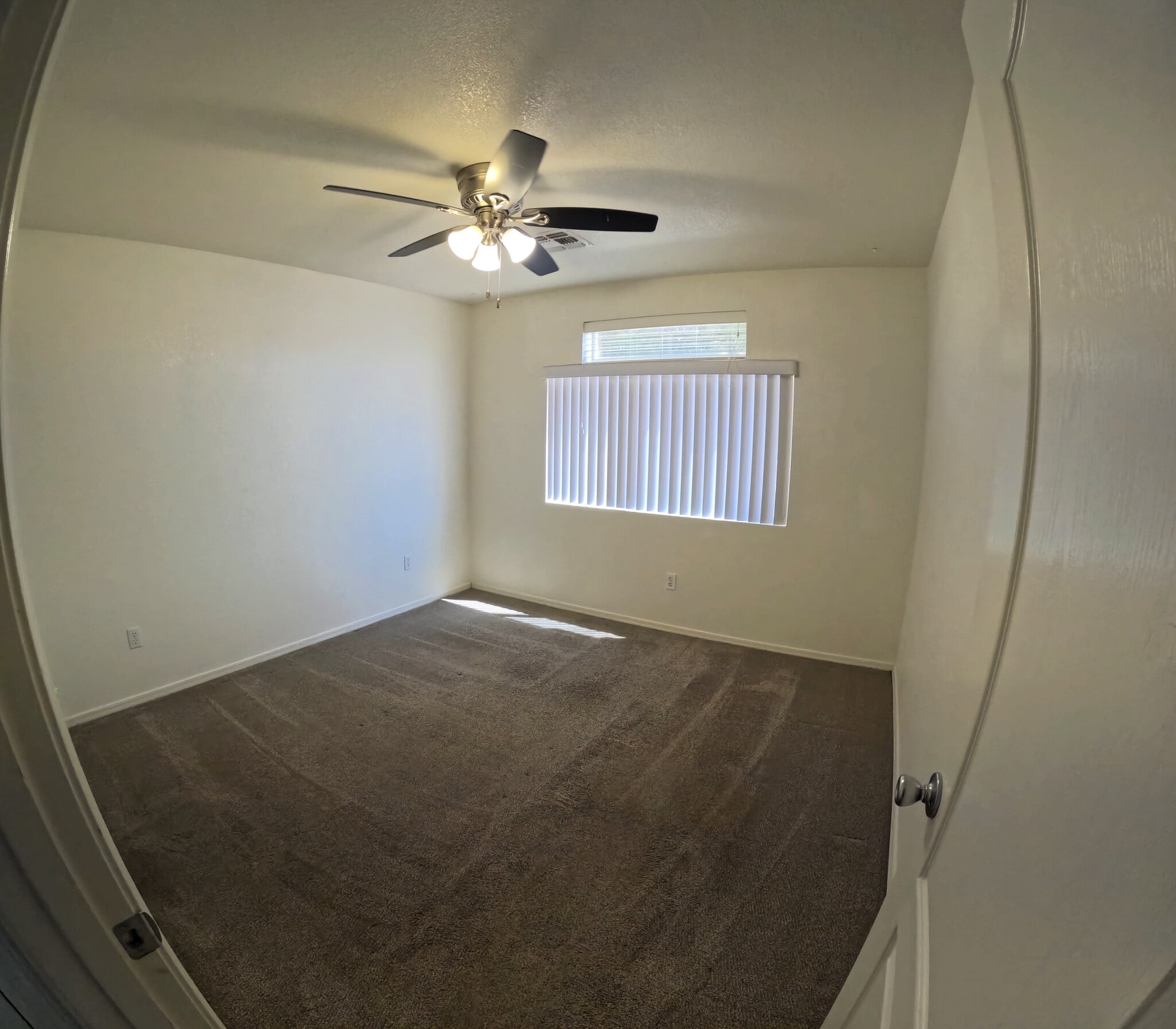 Building Photo - 1675 E Segovia Way