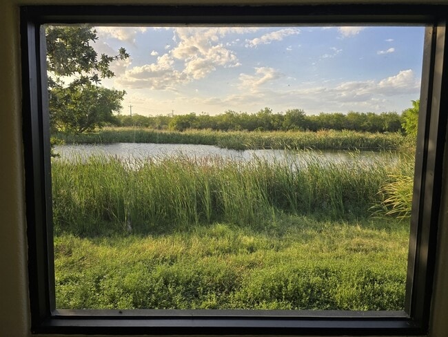 Building Photo - 126 Alton Ave