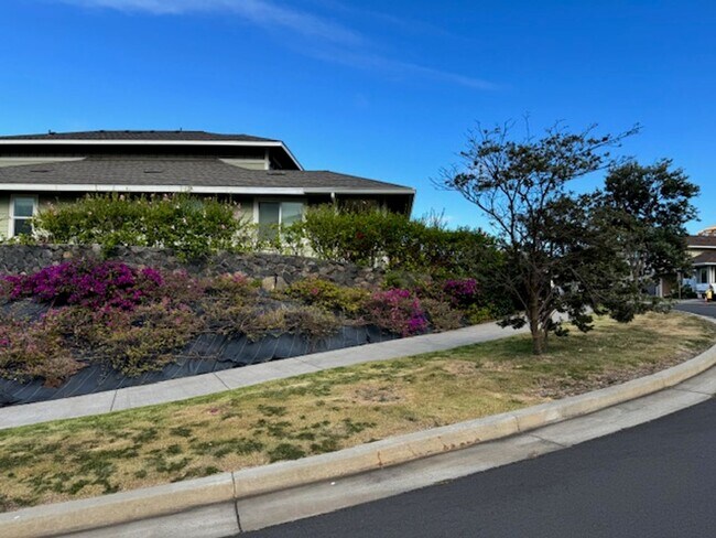 Building Photo - 213 Kilioopu Street