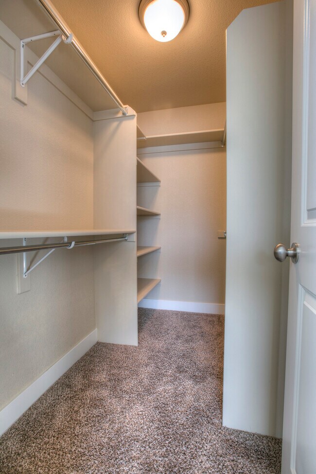Building Photo - 3838 Steelhead St