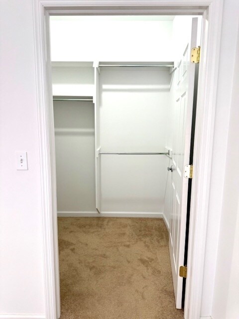 Master Walk-In - 18 Baldwin St