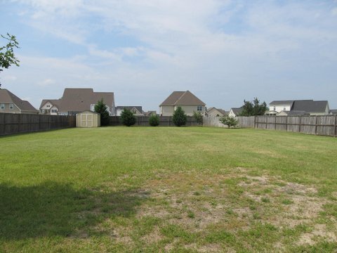 Building Photo - Beautiful 4 Bedroom Home with Spacious Backyard!