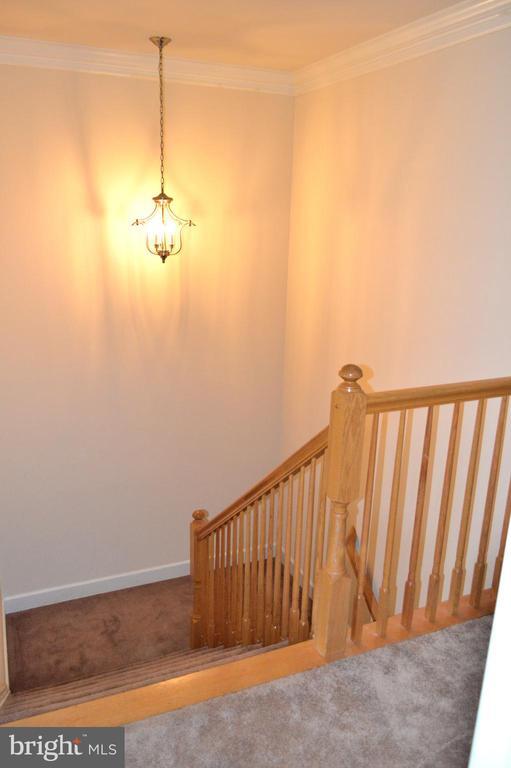 Building Photo - 12213 Silver Cypress Terrace