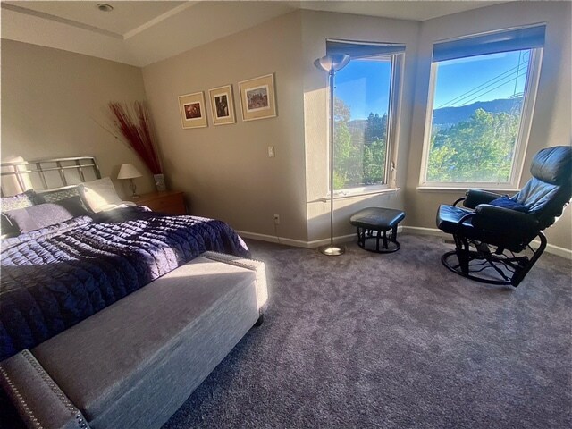 Master Bedroom - 165 Ramona Rd