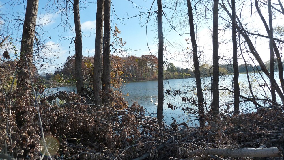 Building Photo - 11719 21 Mile Rd