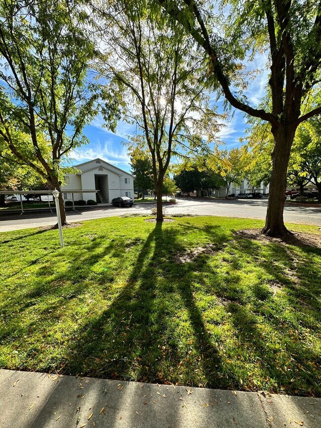 Building Photo - Remarkable Value. Unbeaten Location.