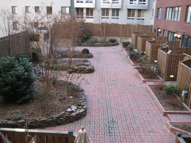 Court yard - 1245 13th St NW