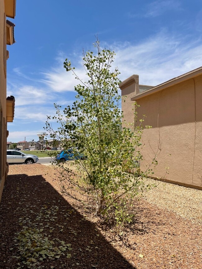 Building Photo - 12960 Cozy Cove Ave