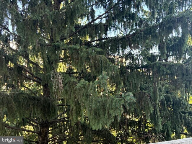 Building Photo - 1101 S Arlington Ridge Rd