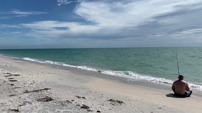 Building Photo - 2227 Pineland Dr