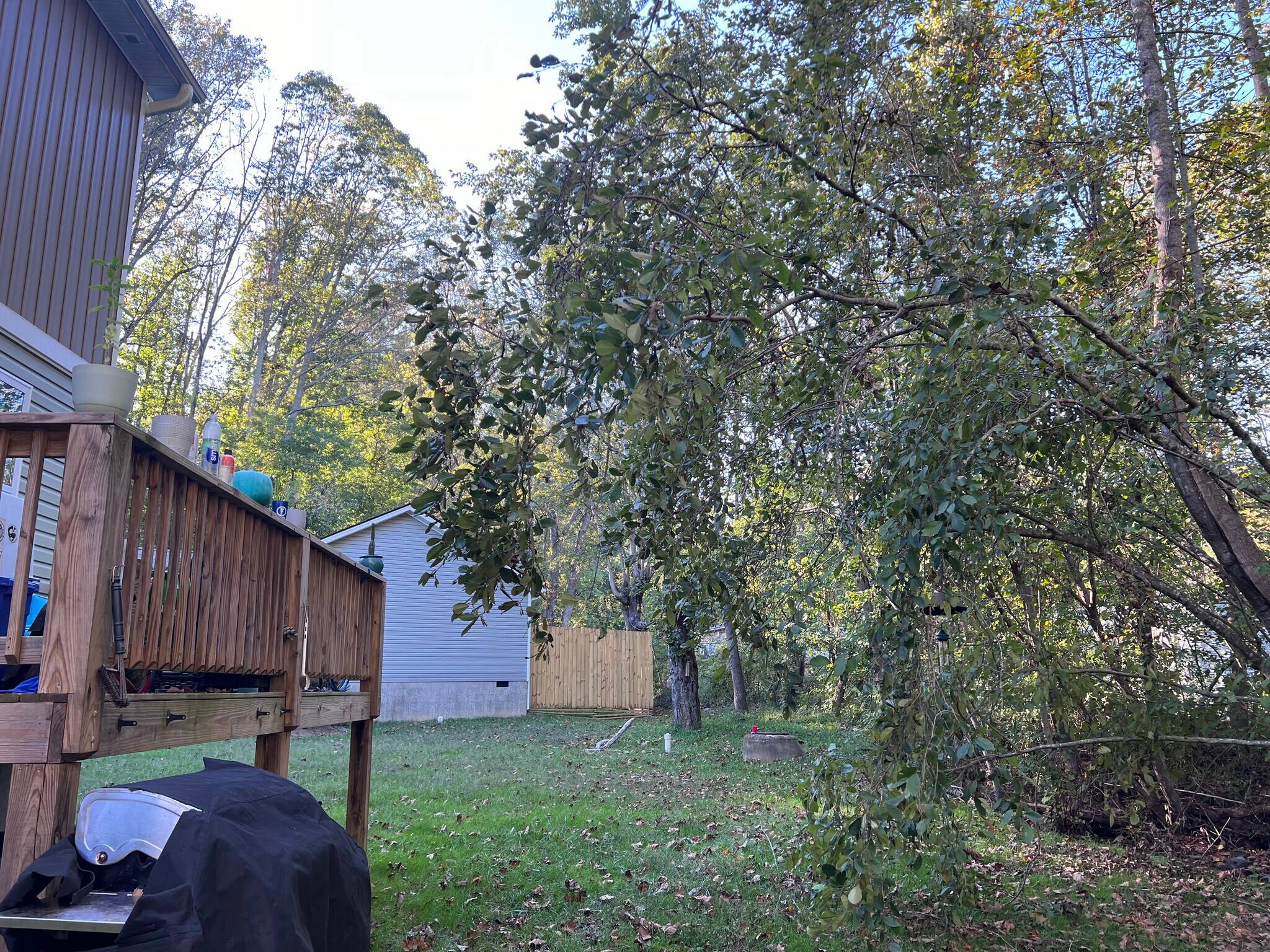 Building Photo - 107 Owens Creek Rd