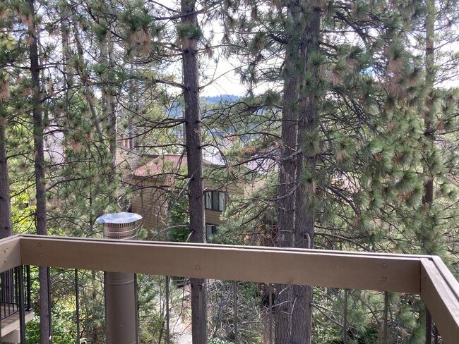 Building Photo - Enchanting Four Bedroom Two and Half Bath Condo in North Meadow Bay.