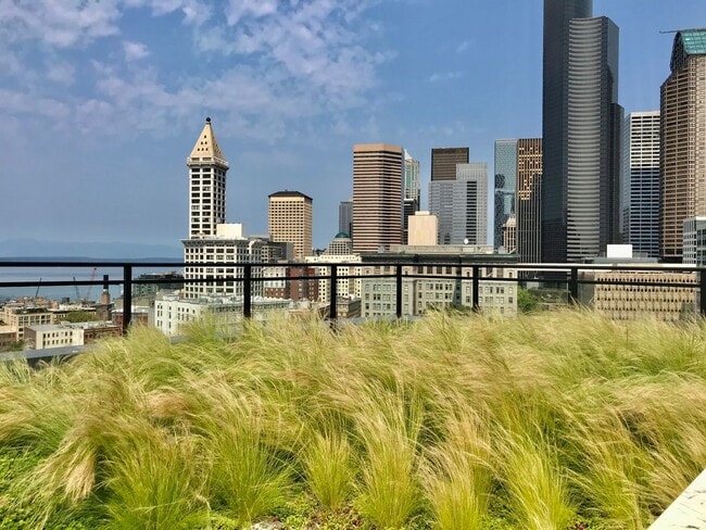 Building Photo - Brand New One Bedroom for Rent at Fabulous...
