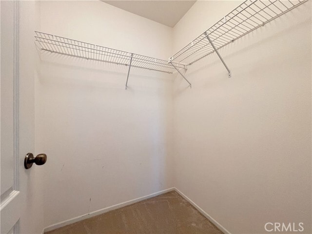 Building Photo - 16612 China Berry Ct