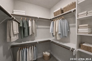 Building Photo - 7122 Magnolia Pass