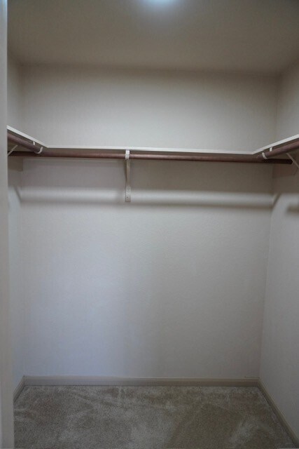 Building Photo - 20319 Little Wing Dr