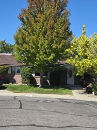 Building Photo - Pet Friendly Carson Home