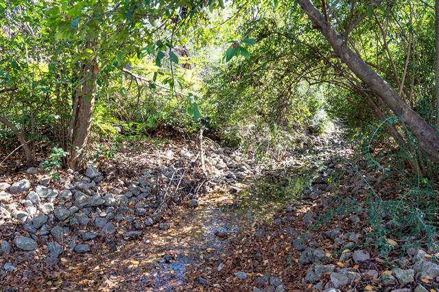 Building Photo - 8530 Jourdan Way