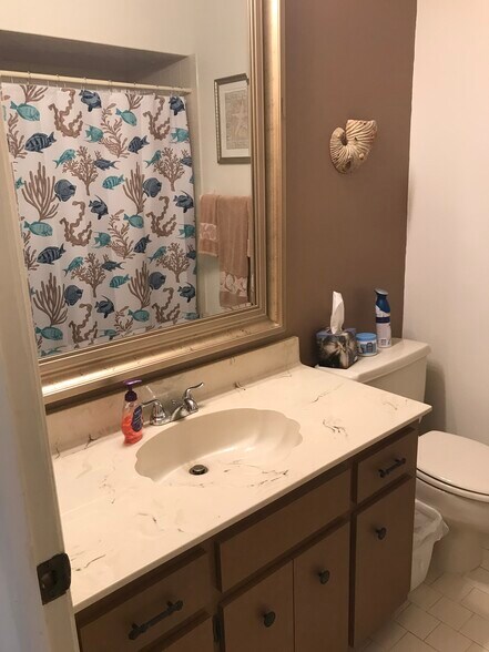 1st full bath - 3335 Purple Martin Dr