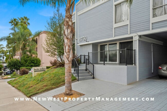 Primary Photo - Renovated Pacific Beach 1 Bedroom at Pacif...