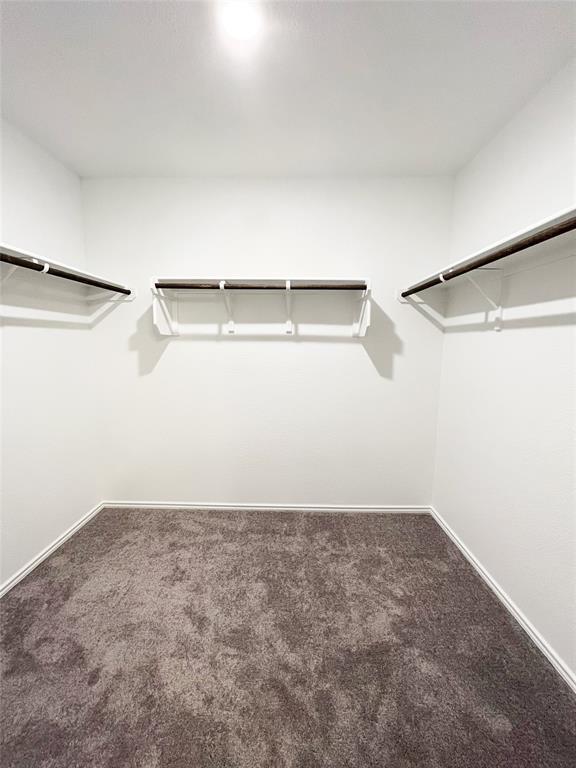 Building Photo - 54 Pacific Loon St