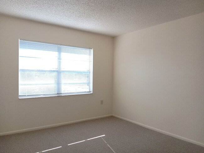 Building Photo - Sunny suite is SWEET in north St Pete - 2/...