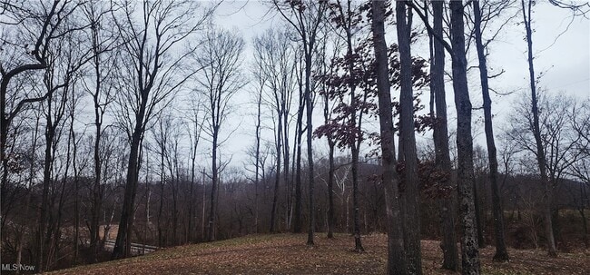 Building Photo - 6965 Chandlersville Rd