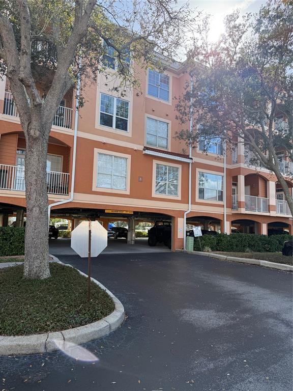 Building Photo - 5000 Culbreath Key Way