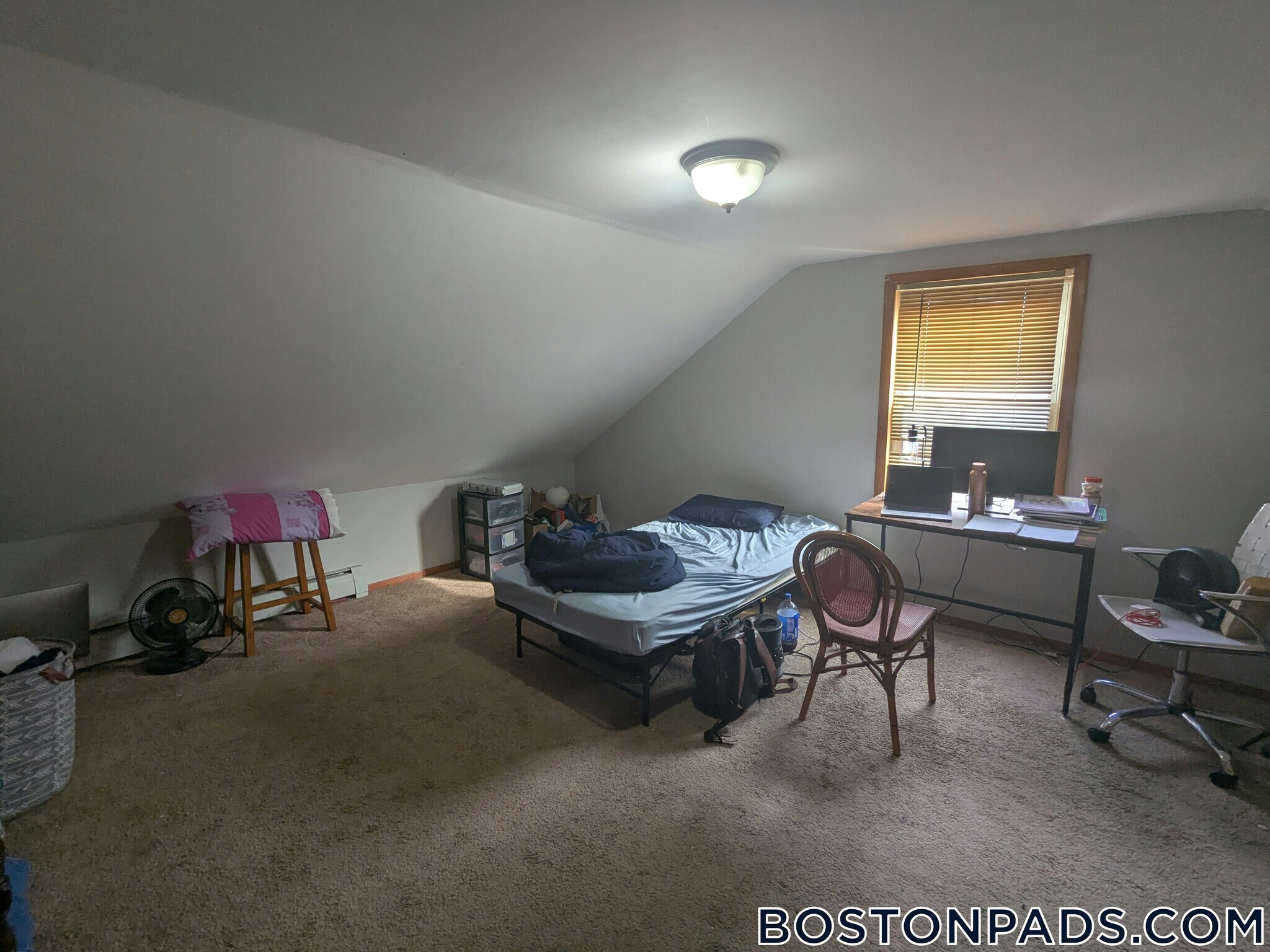 Building Photo - 247 Roxbury St