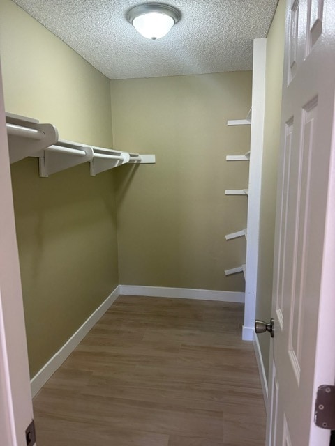 Building Photo - 2304 Ironbark Dr