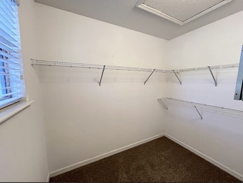 Building Photo - 8265 Halls Hammock Ct