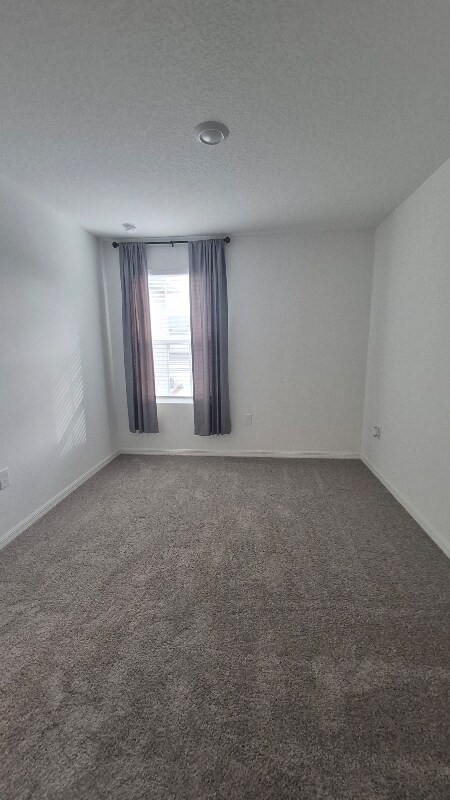 Building Photo - 3563 Davenport Creek Ct