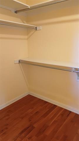 Building Photo - 3051 Renaissance Ct
