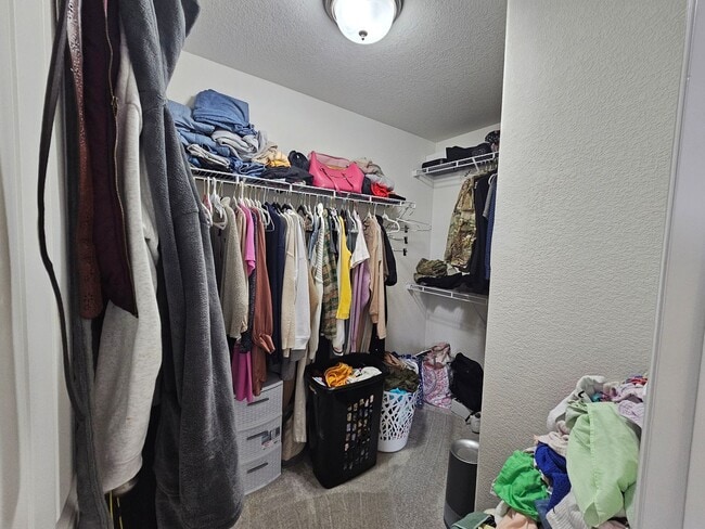 Building Photo - Like new!! 3-bedroom, 3-bathroom rental in Lorson Ranch community!