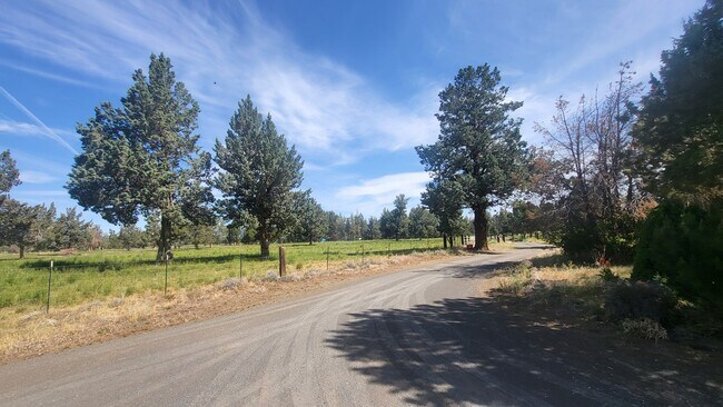 Building Photo - 4 bedroom 3 bath horse property- 6 acres i...