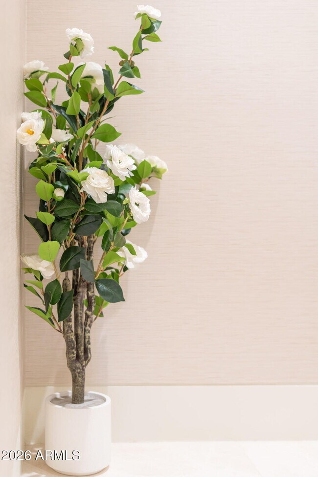 Building Photo - 6587 N Palmeraie Blvd